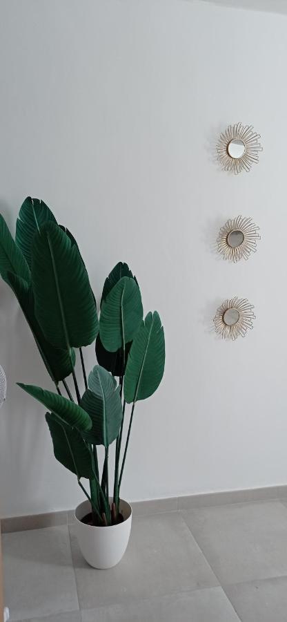 דירות סביליה Apartamento Casco Historico Con Atico. מראה חיצוני תמונה