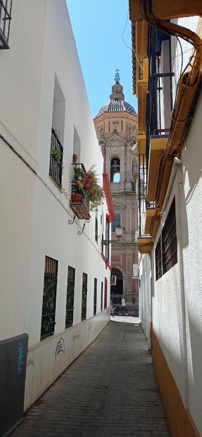 דירות סביליה Apartamento Casco Historico Con Atico. מראה חיצוני תמונה